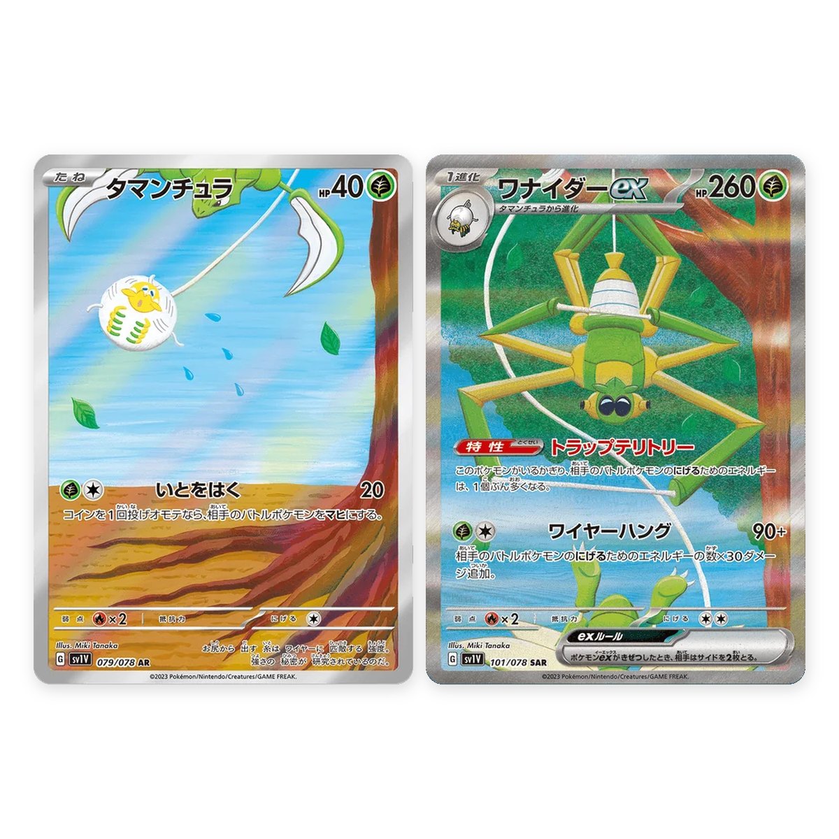 Tarountula and Spidops ex